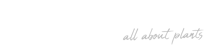 The Plant Depot